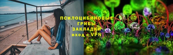 первитин Богданович