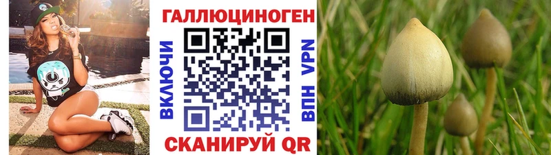 Галлюциногенные грибы GOLDEN TEACHER  Покровск 